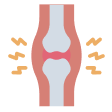 Anti Inflammatory & Joint Pain